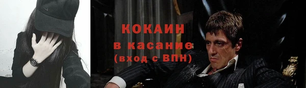 индика Алексеевка