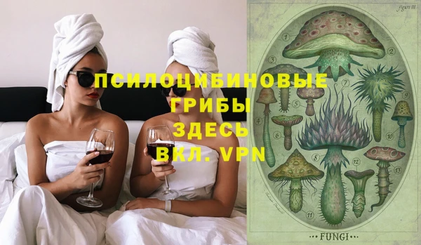 индика Алексеевка