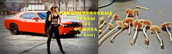 индика Алексеевка