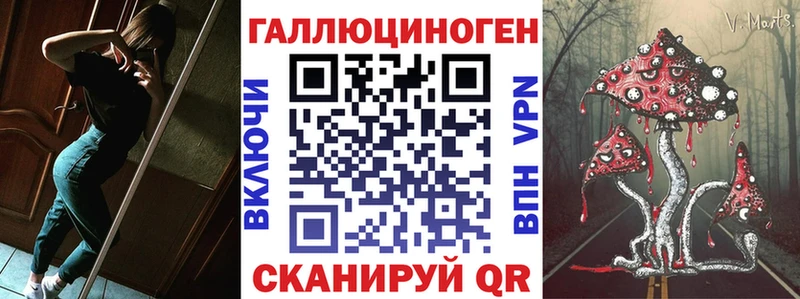 Псилоцибиновые грибы Psilocybe Бабушкин